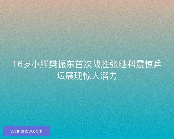 16岁小胖樊振东首次战胜张继科震惊乒坛展现惊人潜力