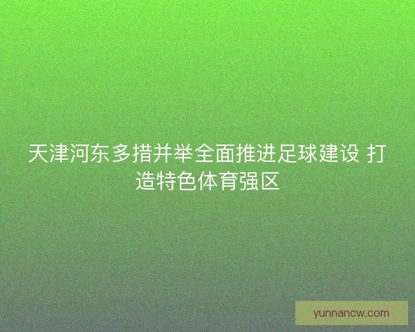 天津河东多措并举全面推进足球建设 打造特色体育强区