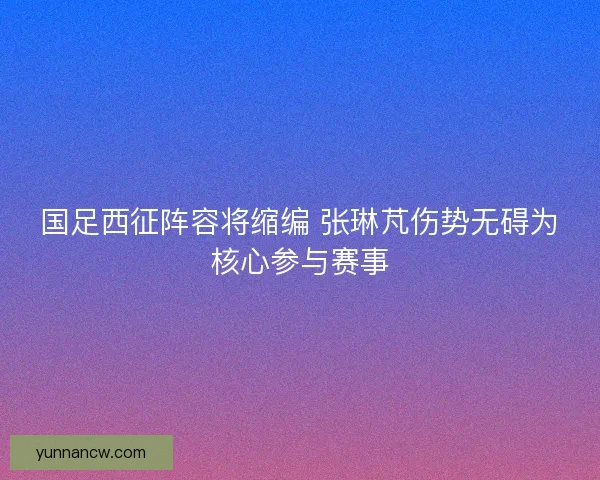 国足西征阵容将缩编 张琳芃伤势无碍为核心参与赛事 国足西征阵容将缩编 张琳芃伤势无碍为核心参与赛事