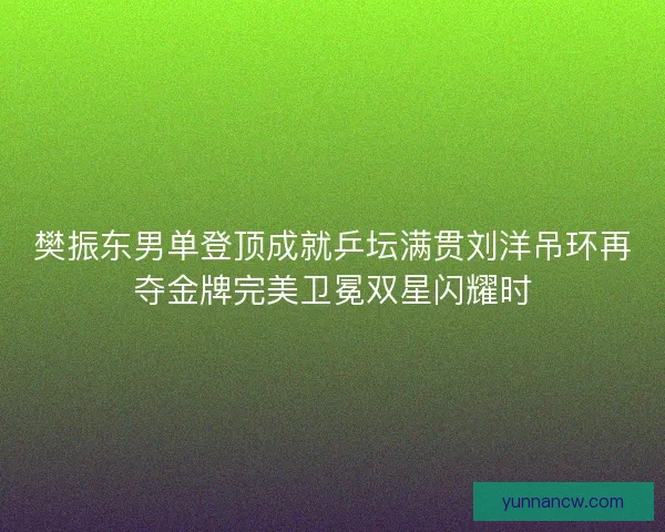 樊振东男单登顶成就乒坛满贯刘洋吊环再夺金牌完美卫冕双星闪耀时