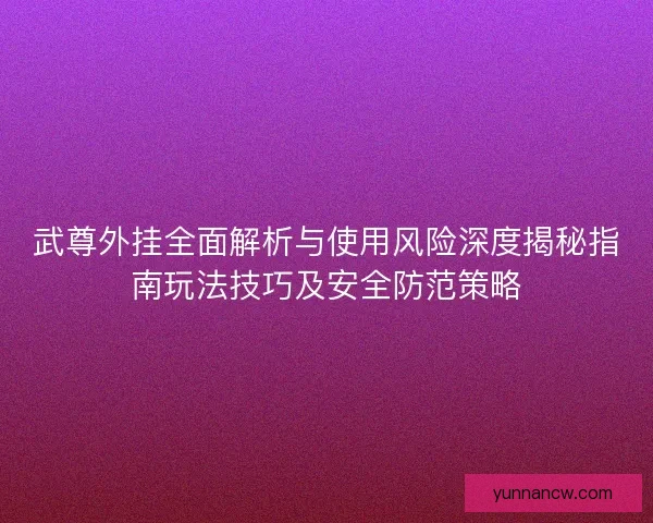 武尊外挂全面解析与使用风险深度揭秘指南玩法技巧及安全防范策略
